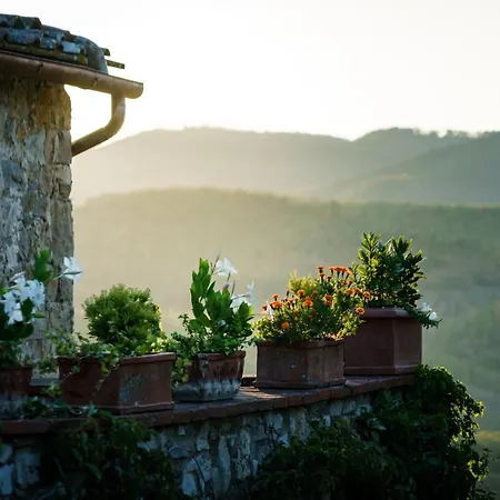 Celle Di Lecchi Nel Chianti *