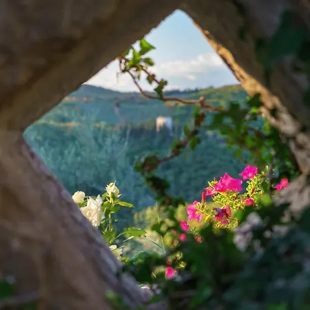 Celle Di Lecchi Nel Chianti * San Sano