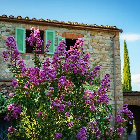 Celle Di Lecchi Nel Chianti