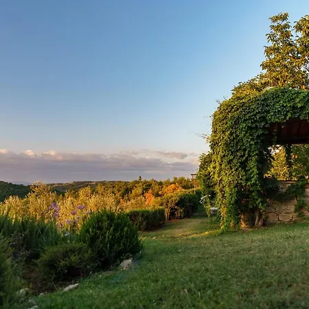 Celle Di Lecchi Nel Chianti Villa San Sano