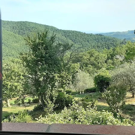Celle Di Lecchi Nel Chianti