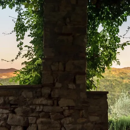 Celle Di Lecchi Nel Chianti
