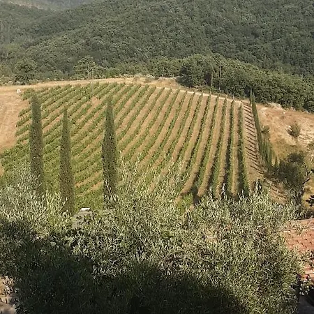Villa Le Celle Chianti *